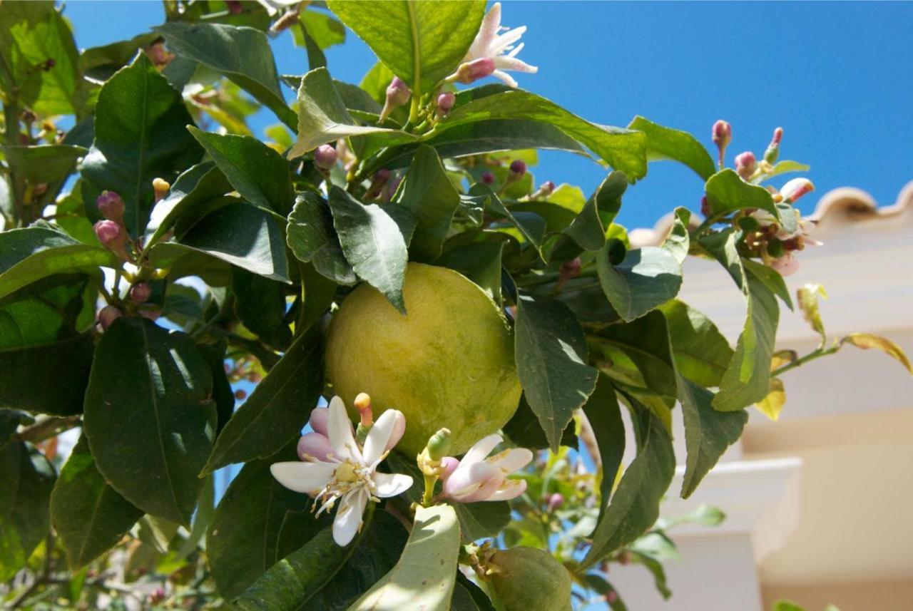 Luxury Villa Allure Dhafnes Εξωτερικό φωτογραφία